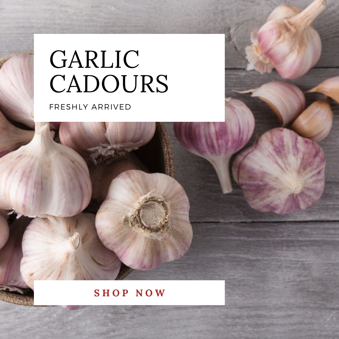 Garlic cadours   mobile