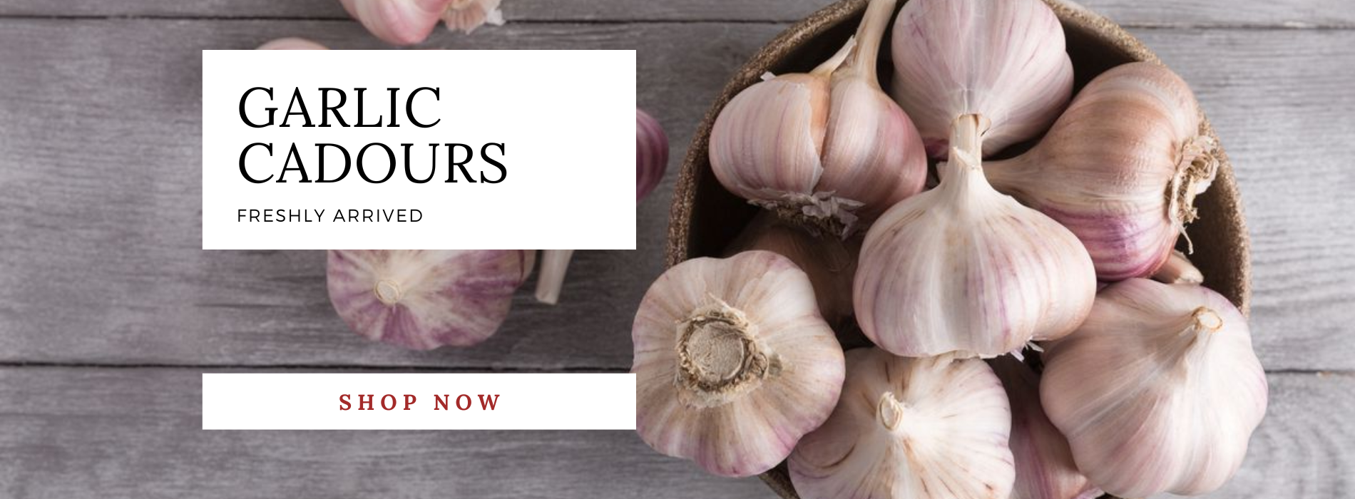 Garlic cadours q4 website slideshow