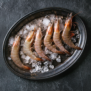 Premium Seafood – Fresh & Frozen, Wild-Caught Fish, Lobster & More