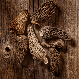 Dehydrated Morels from France - 50g - Les Gastronomes