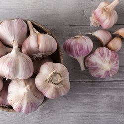 Purple Cadours Garlic AOP - Piece - Les Gastronomes