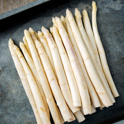 Fresh White Asparagus, Caliber 22+ - Les Gastronomes