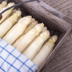 Fresh White Asparagus, Caliber 22+ - Les Gastronomes