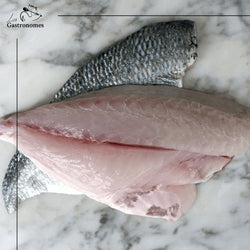 Seabream Royal, Wild Filets 600 - 800g - Les Gastronomes