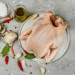 Turkey with Pop-up Timer - Frozen - Les Gastronomes